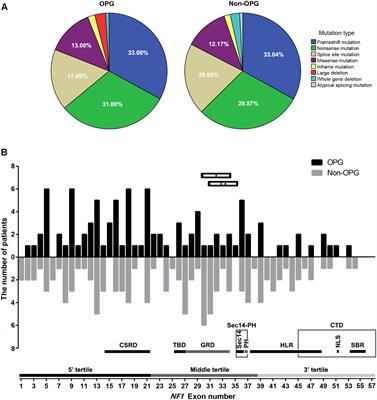 Identification of Mutation Regions on NF1 Responsible for High- and Low-Risk Development of Optic Pathway Glioma in Neurofibromatosis Type I